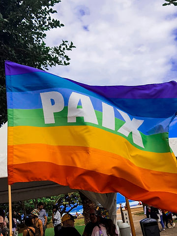 Photo montrant un drapeau LGBT avec une inscription "PAIX" au milieu.